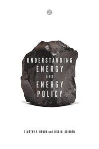 bokomslag Understanding Energy and Energy Policy