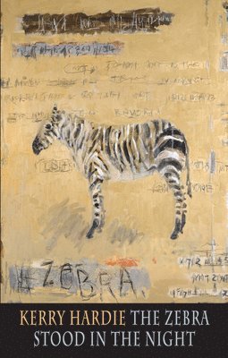 Zebra Stood in the Night