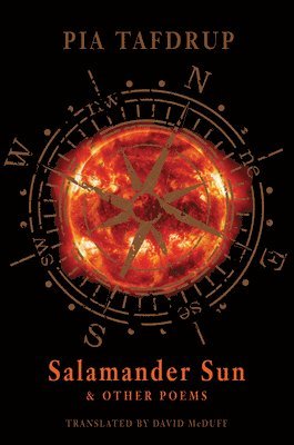 bokomslag Salamander Sun and Other Poems