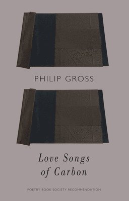 bokomslag Love Songs of Carbon
