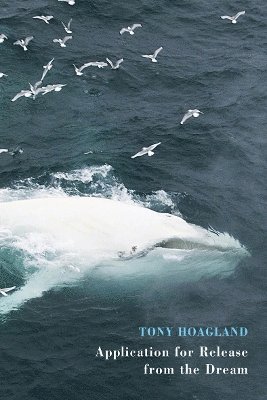 Tony Hoagland - Application for Release from the Dream, Häftad