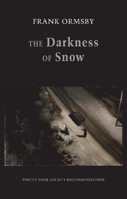 bokomslag The Darkness of Snow