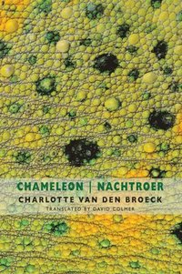 bokomslag Chameleon | Nachtroer