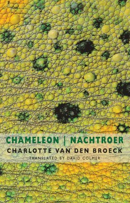 Chameleon | Nachtroer 1