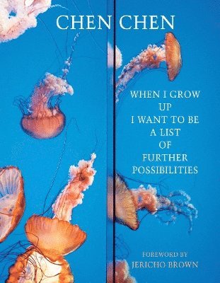 When I Grow Up I Want to Be a List of Further Possibilities 1