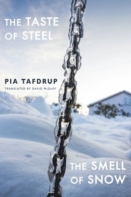 bokomslag The Taste of Steel * The Smell of Snow