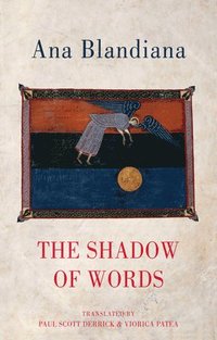 bokomslag Shadow of Words