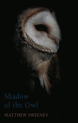 bokomslag Shadow of the Owl