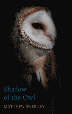 Shadow of the Owl 1