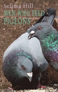 bokomslag Men Who Feed Pigeons