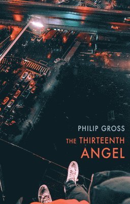 bokomslag Thirteenth Angel