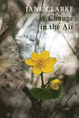 A Change in the Air 1