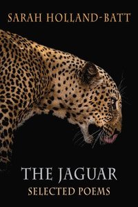 bokomslag The Jaguar