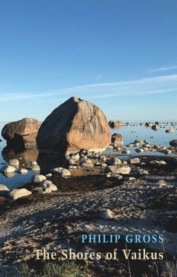 bokomslag Shores of Vaikus