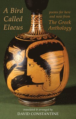 A Bird Called Elaeus 1