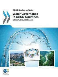 bokomslag Water Governance in OECD Countries