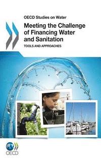 bokomslag Meeting the Challenge of Financing Water and Sanitation