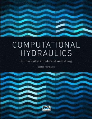 bokomslag Computational Hydraulics