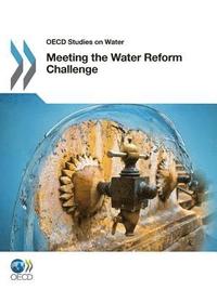 bokomslag Meeting the Water Reform Challenge