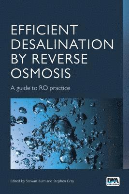 bokomslag Efficient Desalination by Reverse Osmosis