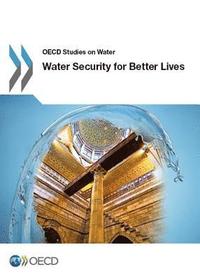 bokomslag Water Security for Better Lives