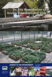 bokomslag In-Situ Remediation of Arsenic-Contaminated Sites