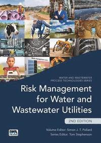 bokomslag Risk Management for Water and Wastewater Utilities