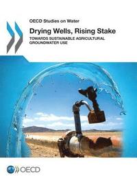 bokomslag Drying Wells, Rising Stakes - Towards Sustainable Agricultural Groundwater Use
