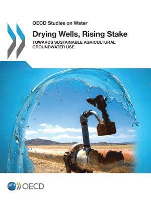 bokomslag Drying Wells, Rising Stakes - Towards Sustainable Agricultural Groundwater Use