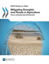 bokomslag Mitigating Droughts and Floods in Agriculture