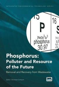 bokomslag Phosphorus: Polluter and Resource of the Future