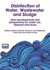 bokomslag Disinfection of Water, Wastewater and Sludge: New developments and perspectives for water use, disposal and reuse