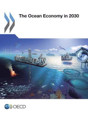 bokomslag Ocean Economy in 2030