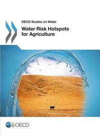 bokomslag Water Risk Hotspots for Agriculture
