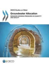bokomslag Groundwater Allocation