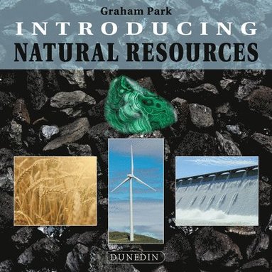 bokomslag Introducing Natural Resources