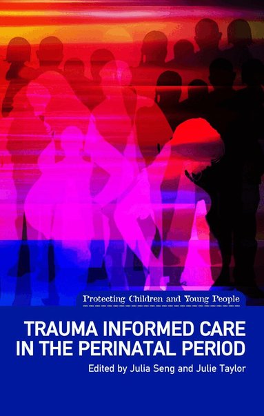 Julia Seng, Julie Taylor - Trauma Informed Care in the Perinatal Period, Häftad