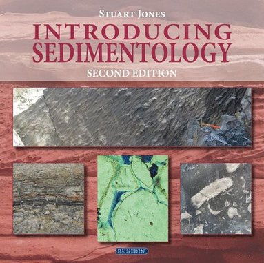 bokomslag Introducing Sedimentology