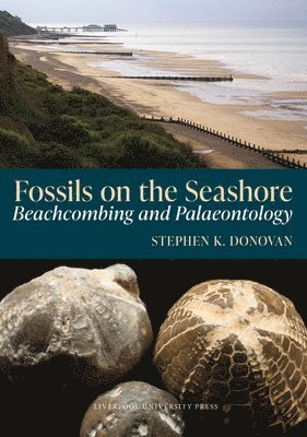 bokomslag Fossils on the Seashore