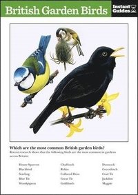 bokomslag British Garden Birds