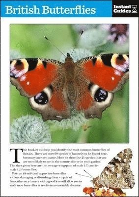 bokomslag British Butterflies