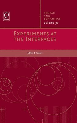 bokomslag Experiments at the Interfaces