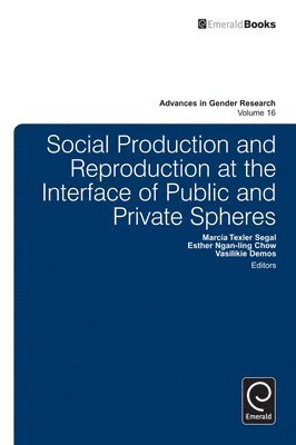 bokomslag Social Production and Reproduction at the Interface of Public and Private Spheres