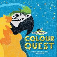 bokomslag Puzzle Masters: Colour Quest