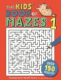 bokomslag The Kids' Book of Mazes 1