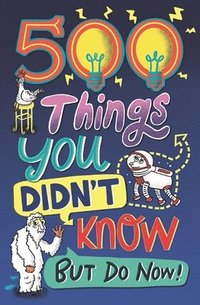 bokomslag 500 Things You Didn't Know