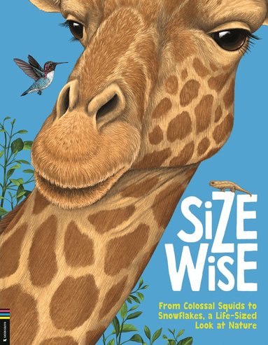 Camilla de la Bedoyere - Size Wise, Inbunden