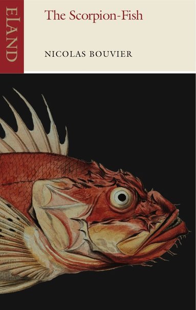 Nicolas Bouvier - Scorpion-Fish, Häftad