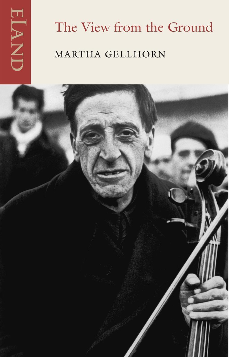 View from the Ground