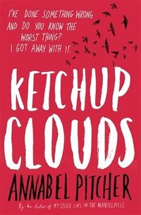 bokomslag Ketchup Clouds